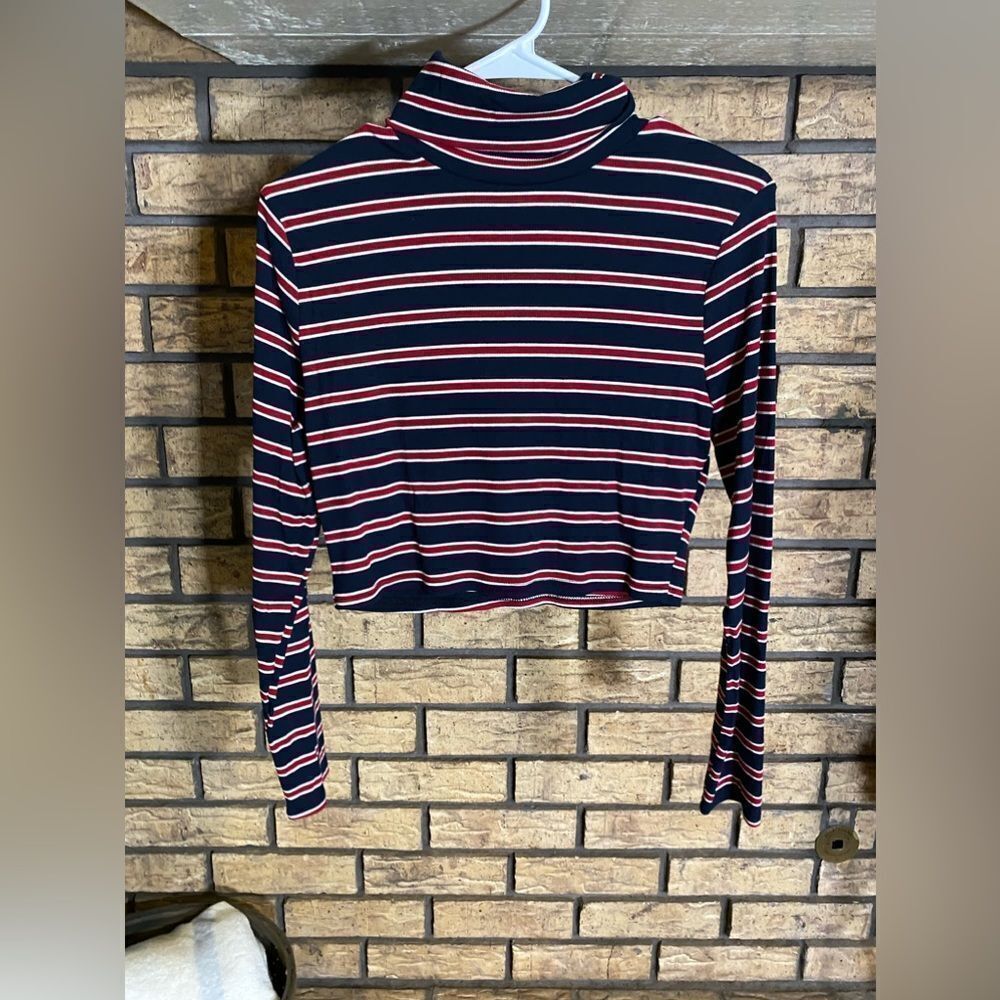 Red and blue striped cropped turtle neck